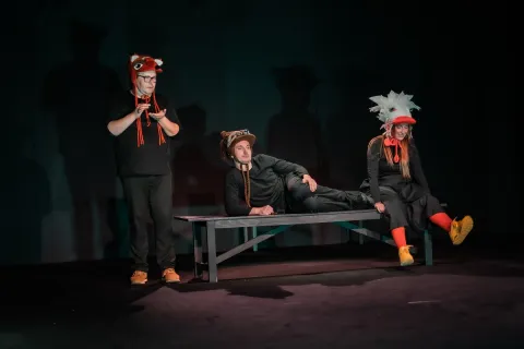 A niech to gęś kopnie!